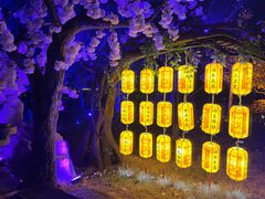 -茅山东方盐湖城景区