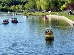 -朝阳公园游乐园