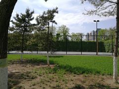 -北京国家会计学院