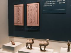 -隋唐大运河文化博物馆