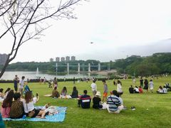 -东莞植物园