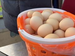 -大自然农场蔬菜草莓采摘园