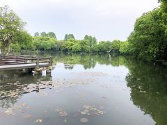 -西湖外事游船(花港观鱼码头)