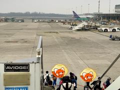 -米兰马尔彭萨国际机场