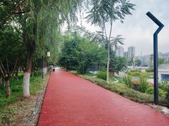 -渭滨公园