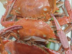 -威海渔村(黄兴路店)