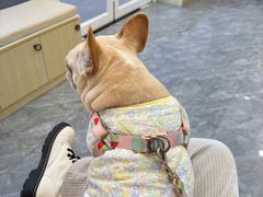 -芭比堂动物医院·CT·微创中心(新顺分院)