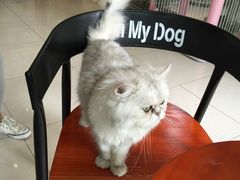 -Oh My Dog宠物沙龙(伊珊娜皮毛护理店)