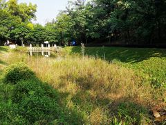 -中山市树木园