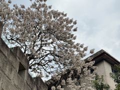 -山城巷传统风貌区