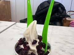 -Salud撒露欧洲冻酸奶(蓝色港湾店)