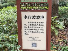 -英德宝晶宫天鹅湖茶语温泉