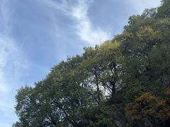 -少华山国家森林公园