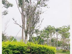 -宝安西湾红树林湿地公园