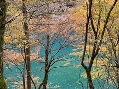 -叠溪松坪沟景区