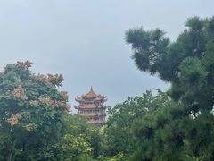 -黄鹤楼