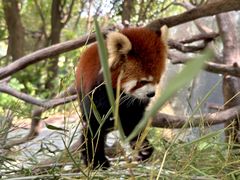 -常州淹城野生动物世界