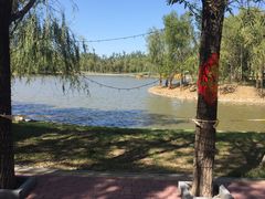 -杨柳青庄园