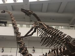 -中国地质大学逸夫博物馆