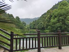 -桃花岭景区