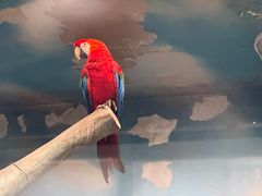 -石家庄市动物园