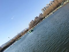 -森林公园(尖草坪区)