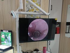 -自然之声助听器·呼吸机(和平店)