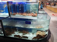 -盒马鲜生(和谐广场店)