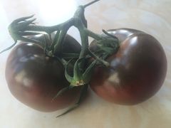 -杨柳青园艺科技博览园