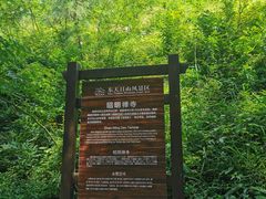 -东天目山风景区