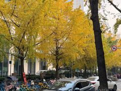 -白家肥肠粉(老东城根街店)