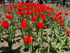 -长春公园(普阳街道)