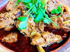 精品羊排-友乐居羊蝎子(西直门店)