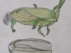 -好莱坞音乐进修学校(四川北路校区)