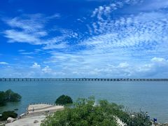 -宝安西湾红树林湿地公园