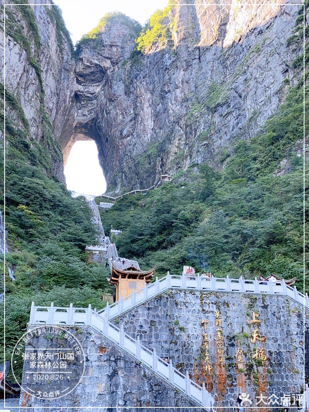 简直就是大型森林游乐场