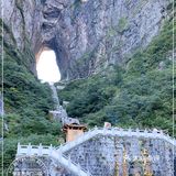 简直就是大型森林游乐场