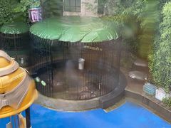 -上海崇明金茂凯悦酒店