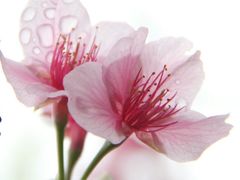 -大埔公路-马料水段香港中文大学(公交站)