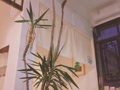 -知亘茶食