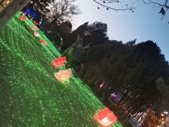 -青龙湖公园