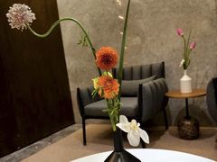 -曲水兰亭(北京四惠店)