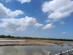 -宁波杭州湾国家湿地公园