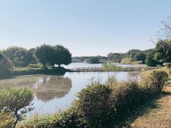 -海上田园