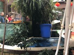 -稻香村鱼庄