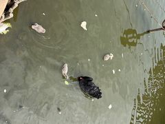 -无锡动物园·太湖欢乐园