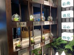 -芸山季·云南山珍菌火锅(人民广场来福士店)