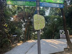 -火炉山森林公园