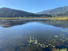 -腾冲北海湿地