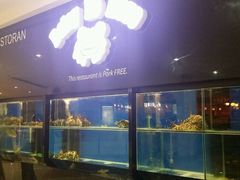 -Delay No More Crab Restaurant